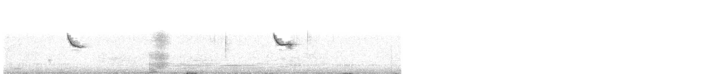 Red-winged Blackbird - ML233805331
