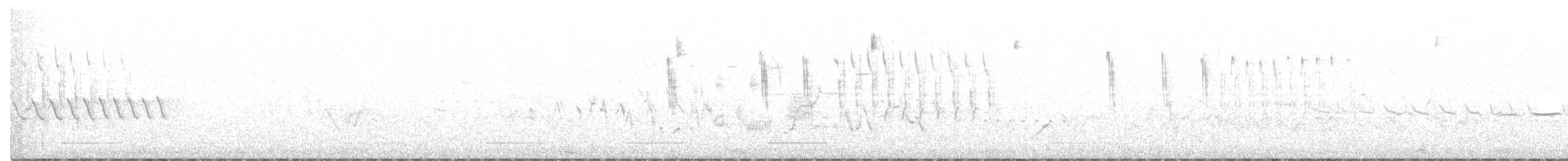 Sedge Wren - ML233806871