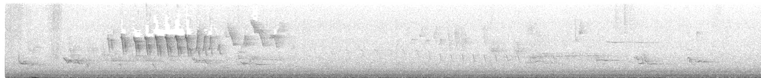 Paruline à calotte noire - ML233807491