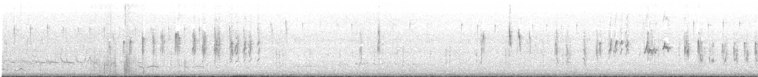 Black-browed Reed Warbler - ML233817651