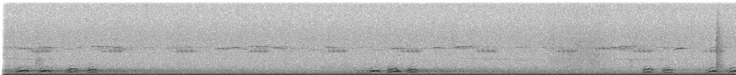 sovka štěkavá - ML233854