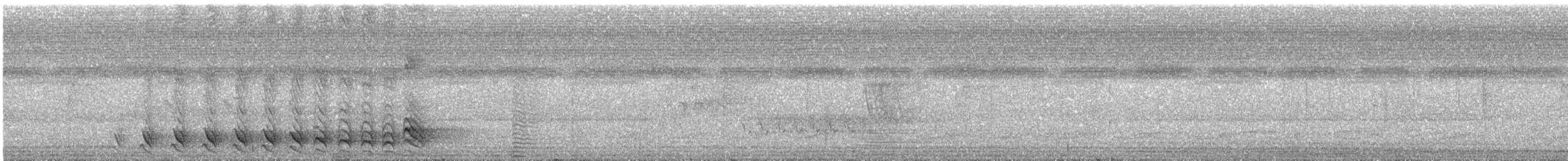 Barred Antshrike (Barred) - ML233855111
