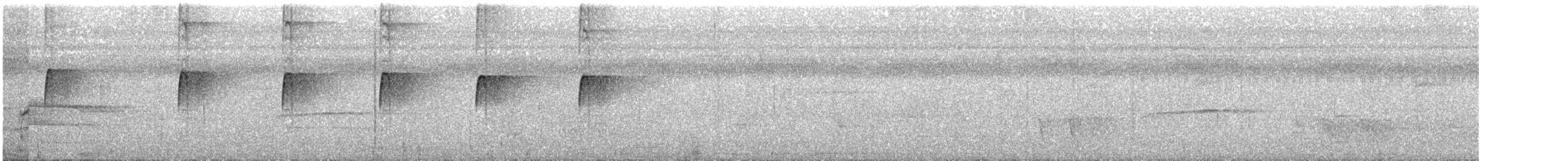 Spotted Tody-Flycatcher - ML233855161