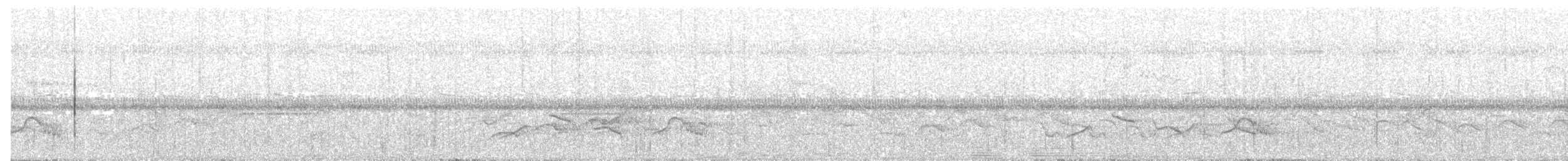 Black-billed Thrush - ML233887451