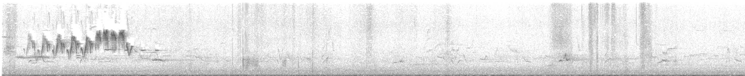Northern Parula - ML233924371