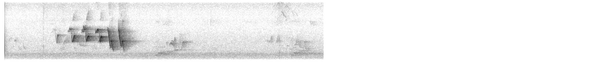 Northern Waterthrush - ML233949381