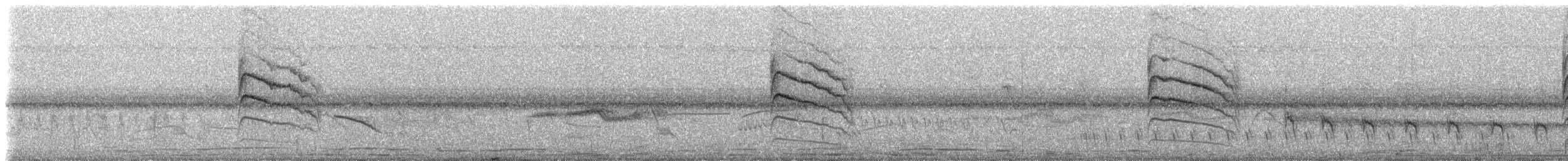 カオジロブユムシクイ（atricapilla） - ML233970