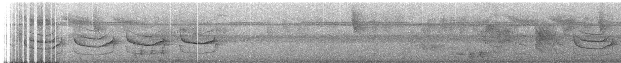 Band-tailed Antwren - ML234020