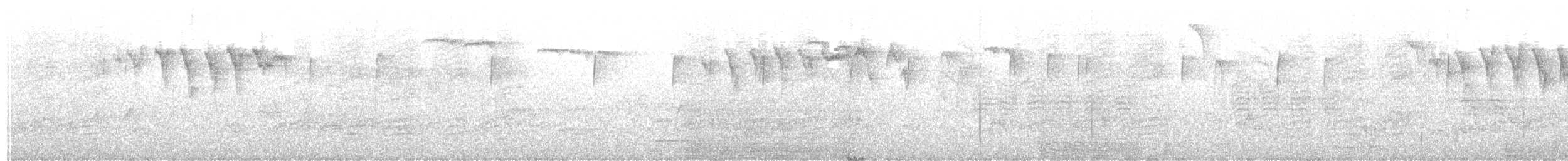 paruline sp. - ML234025821