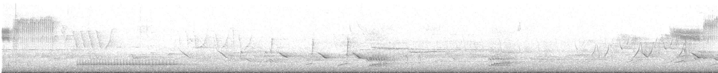 Голубокрылая червеедка - ML234055871