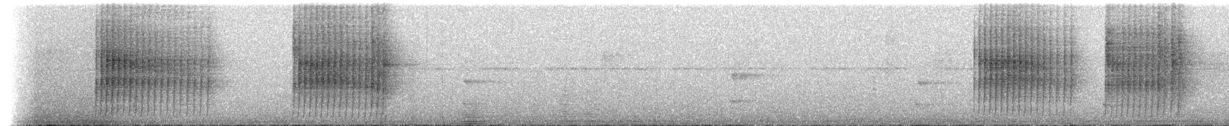 Schwarzgesicht-Ameisenvogel - ML234071