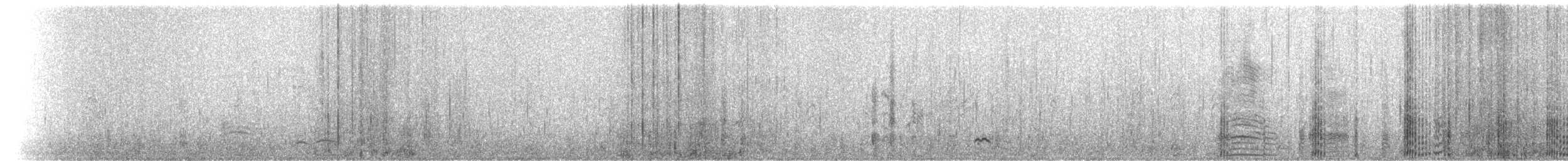 Американская лысуха (Red-shielded) - ML23410141