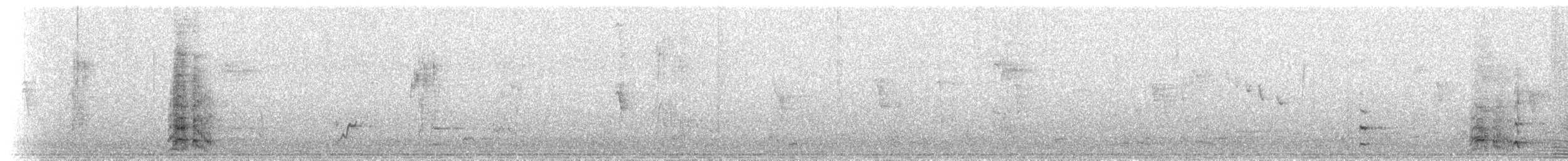 Mielero Carunculado - ML234153