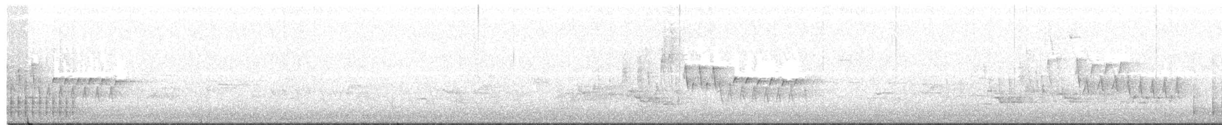 hvitbrynsvartspett - ML234187351
