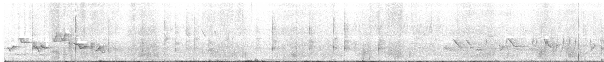 Orchard Oriole - ML234252381