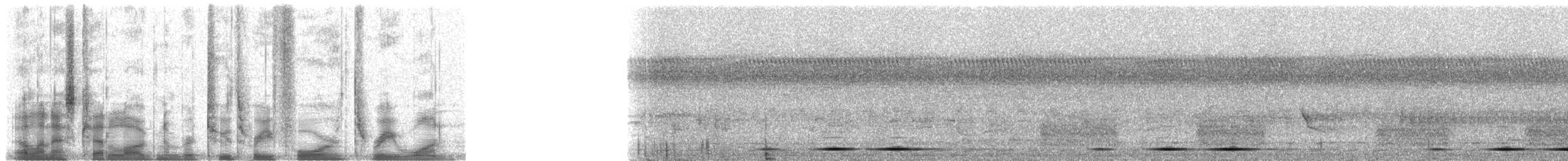 Lowland Sooty Boubou - ML23431