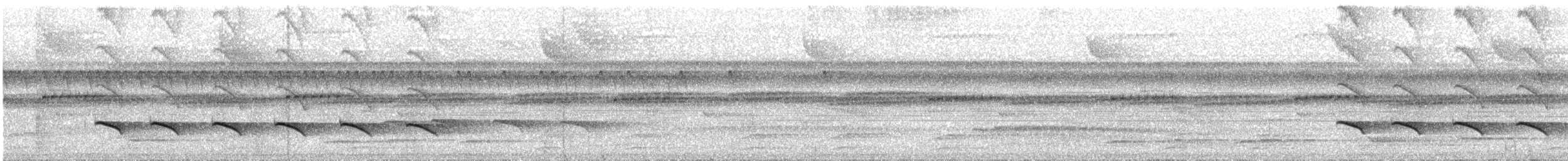Schwarzscheitel-Ameisenvogel (rufifrons/subcristata) - ML234318141