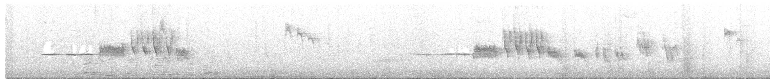 Bruant à couronne blanche (nuttalli) - ML234332521