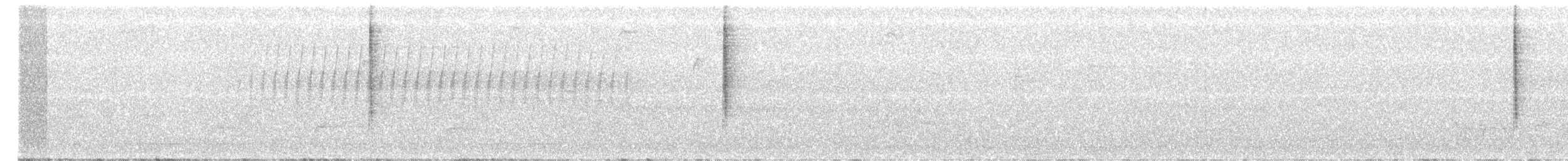 Paruline noir et blanc - ML234339951