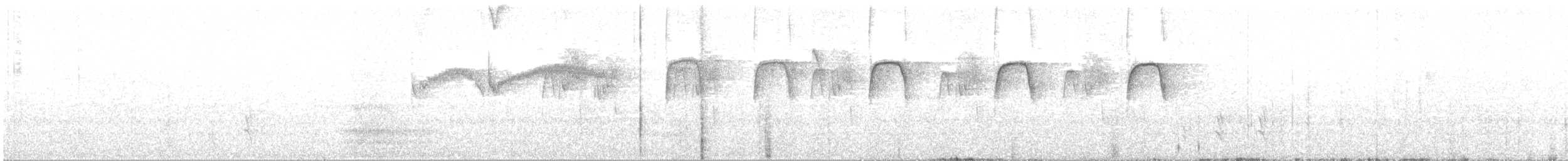 Kestane Karınlı Bülbül Tiranı - ML234353821