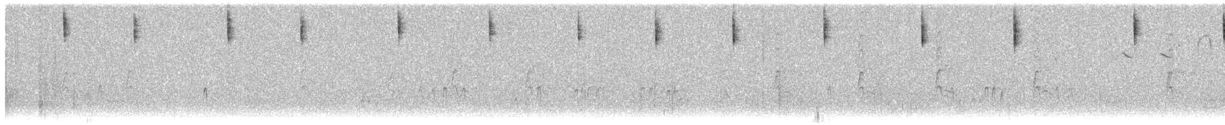 Savannah Serçesi (rostratus/atratus) - ML234369441