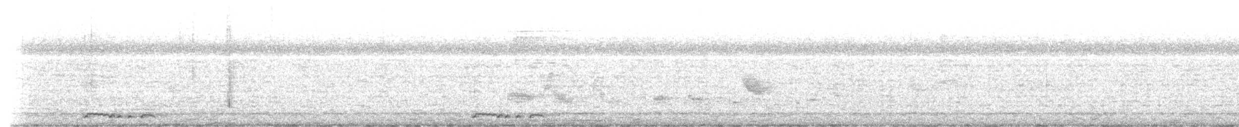 holoubek vlnkovaný - ML234414581