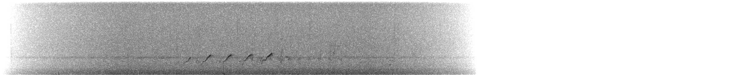Набережник плямистий - ML234482131