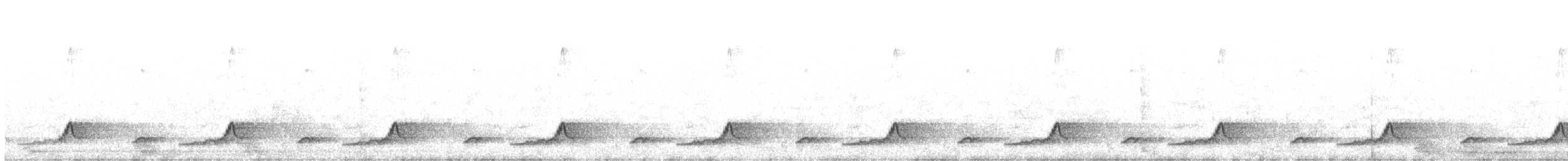 Schwarzkehl-Nachtschwalbe - ML234484871