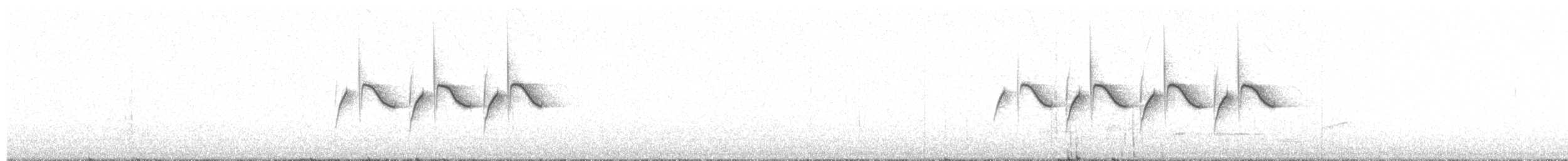 Çam Baştankarası (britannicus/hibernicus) - ML234492111
