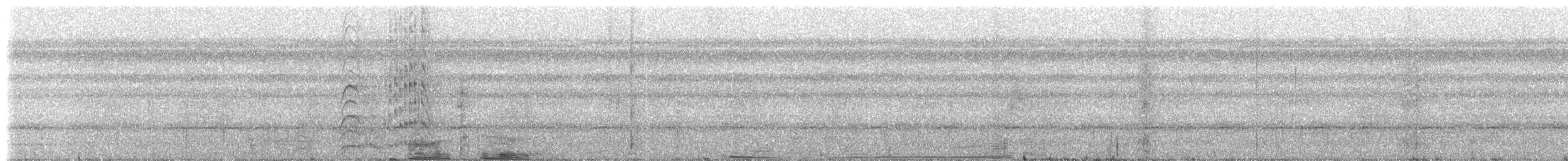 Kara Karınlı Sincap Guguğu - ML234541