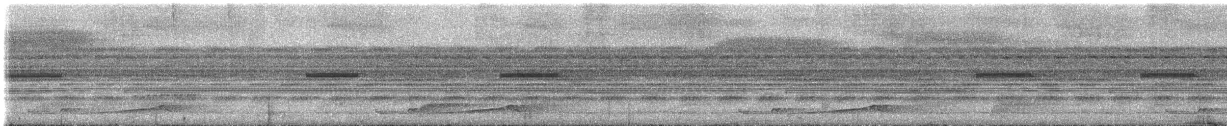 Silky-tailed Nightjar - ML234543