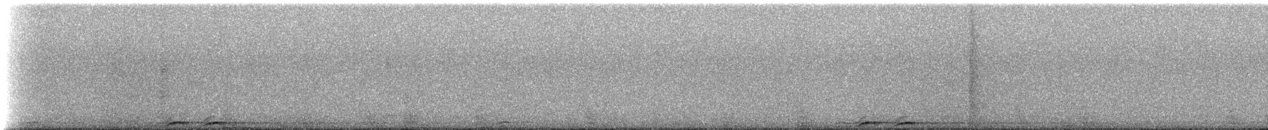 Сова-голконіг плямиста - ML234631