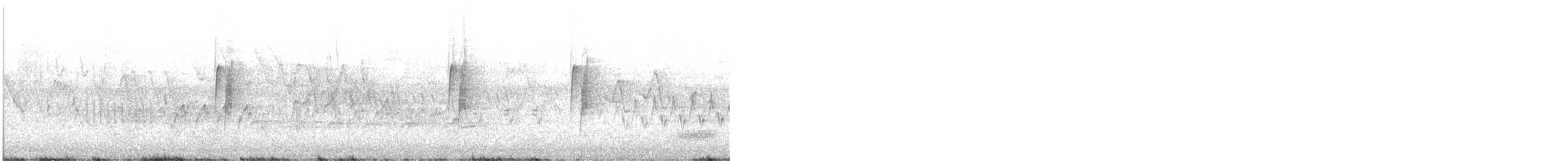 Least Flycatcher - ML234689631
