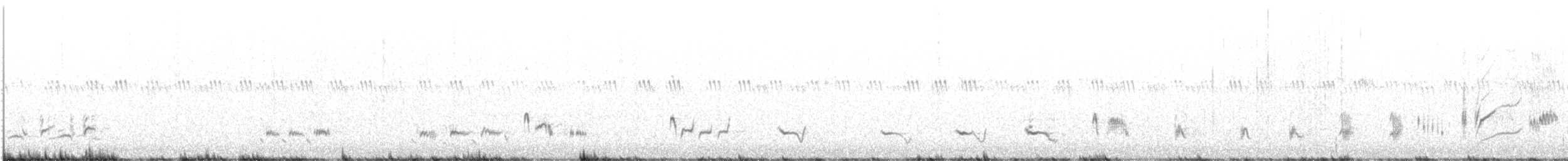 Sage Thrasher - ML234690011