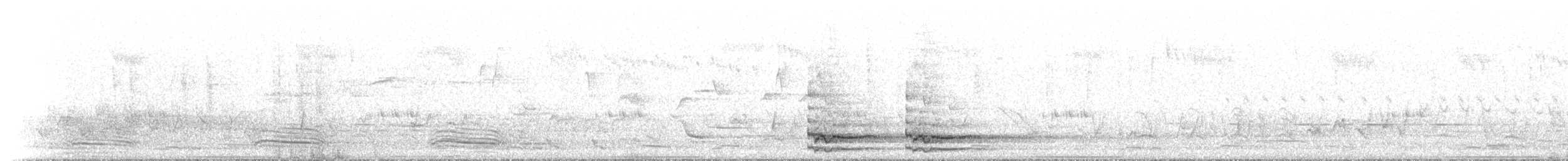 Pied Currawong - ML234746