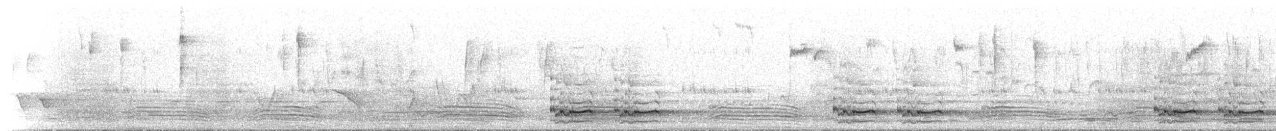 Pied Currawong - ML234747