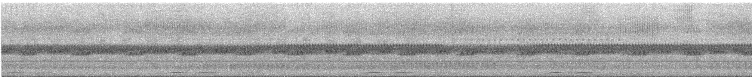 Australian Boobook (Boobook) - ML234749