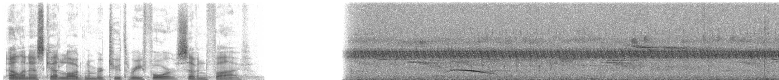 Bar-tailed Trogon - ML23475