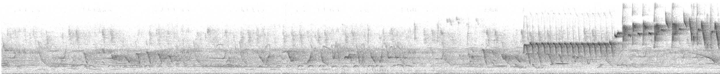 Superb Fairywren - ML234751