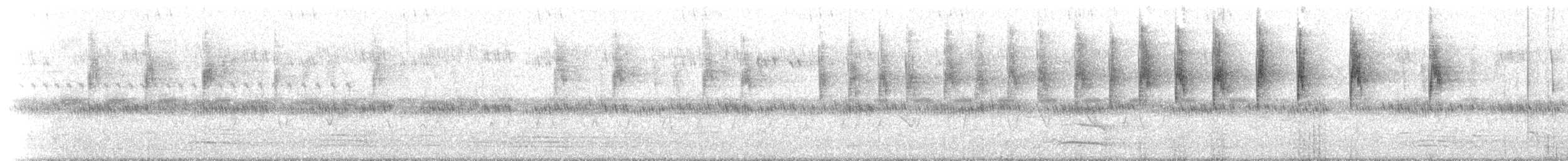 Superb Fairywren - ML234755