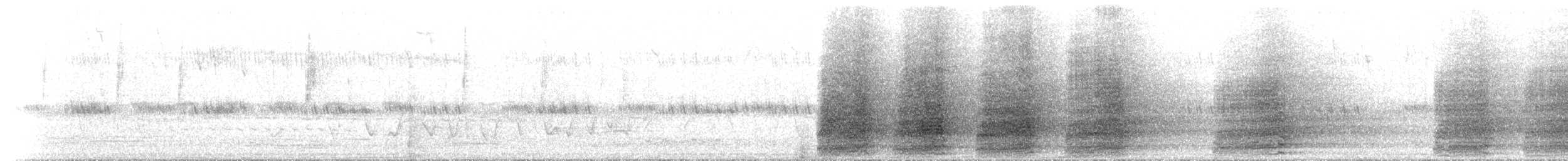 Sulphur-crested Cockatoo - ML234757