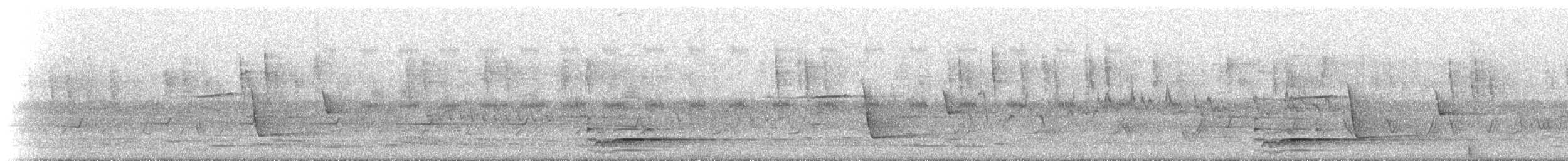 Pied Currawong - ML234758