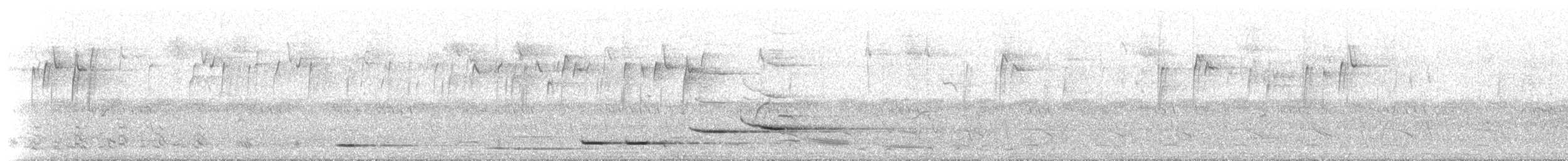 Pied Butcherbird - ML234759