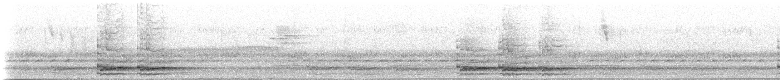 Pied Currawong - ML234764