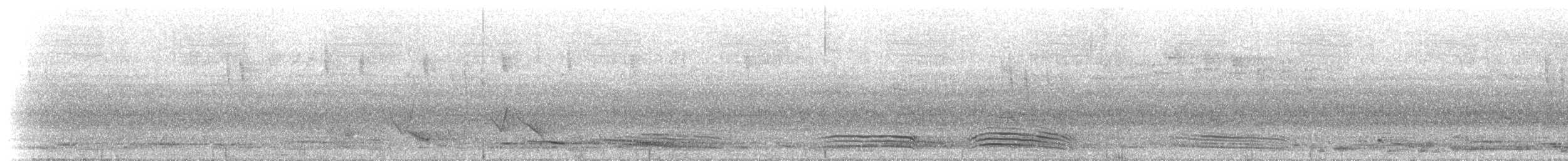 Australian Magpie - ML234766