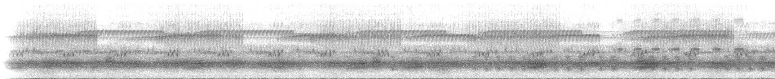 Broad-palmed Rocket Frog - ML234768