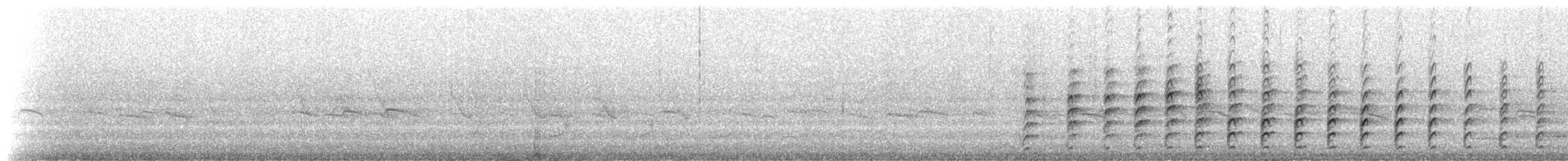 svartkronestylteløper (knudseni) - ML234827