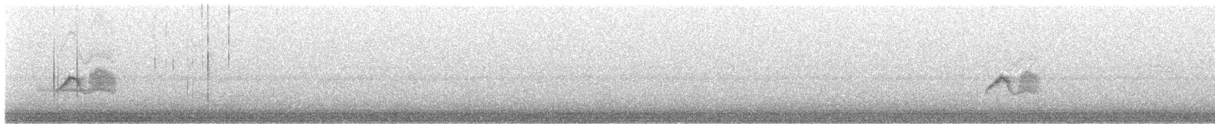 Светлобрюхий фиби - ML234858531