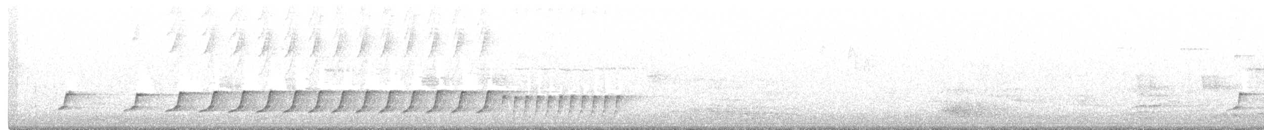 Northern Cardinal - ML234888521