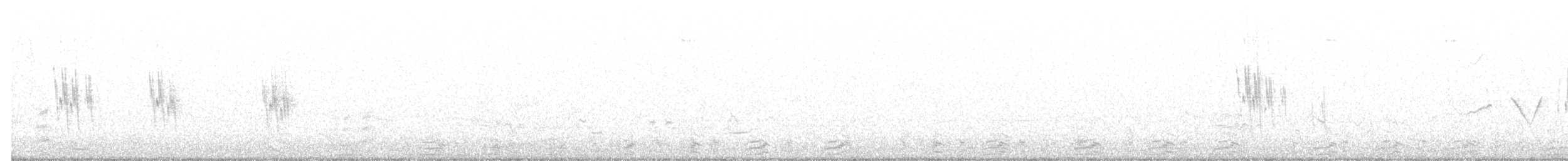 Hirondelle bicolore - ML234898891